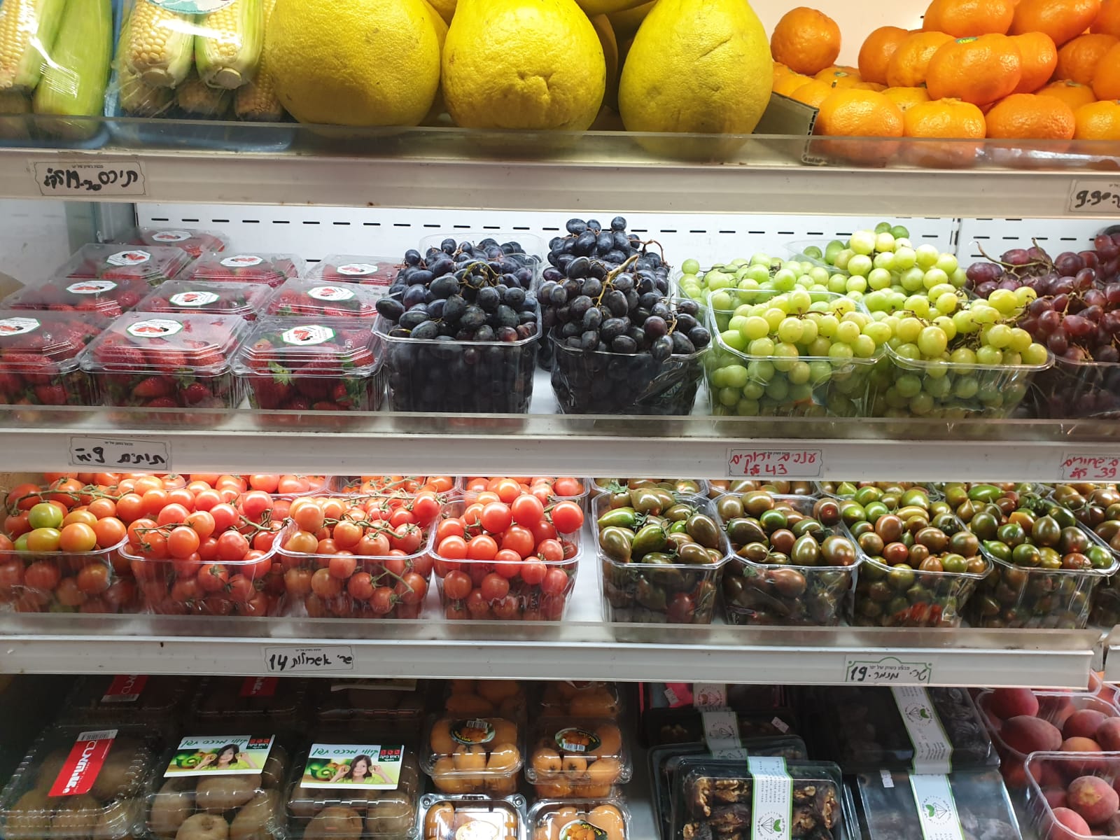 WhatsApp Image 2021-04-15 at 1.57.17 PM.jpeg